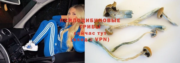 амф Осинники